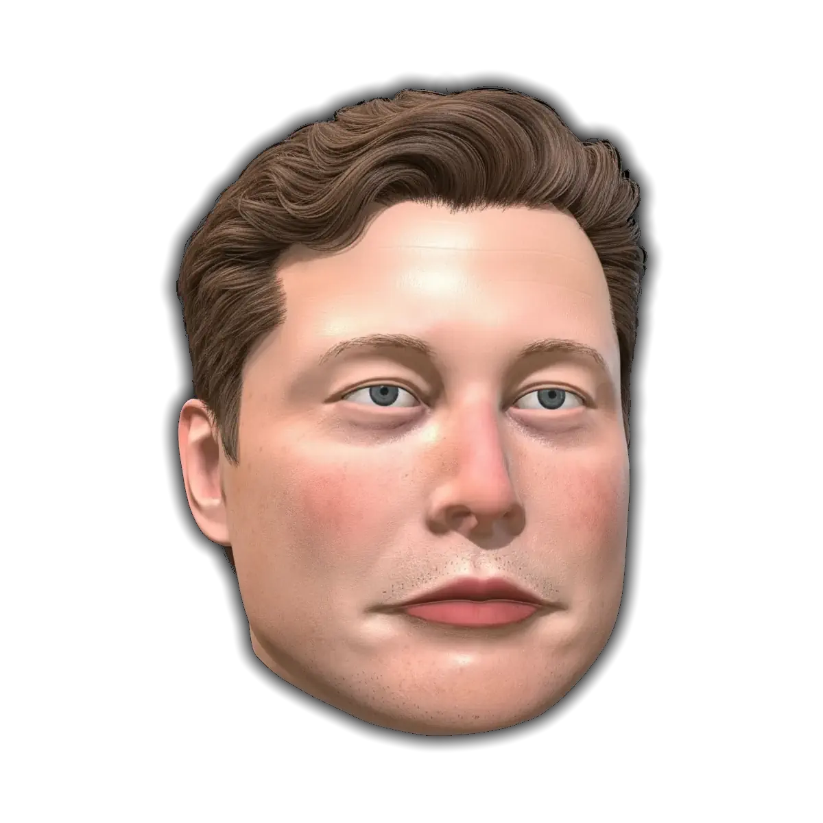 You Are Elon